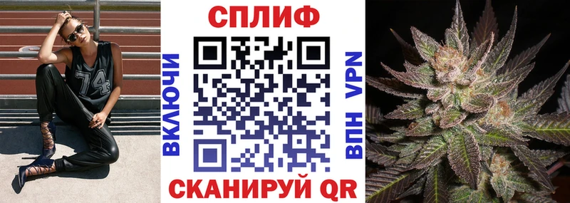 Купить  Северск  Каннабис ГИДРОПОН 